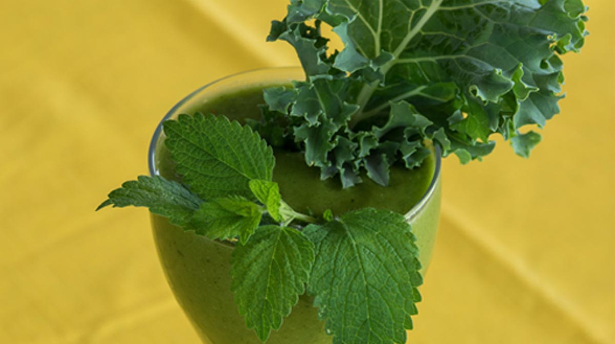 Grünkohl-Beeren-Smoothie Rezept