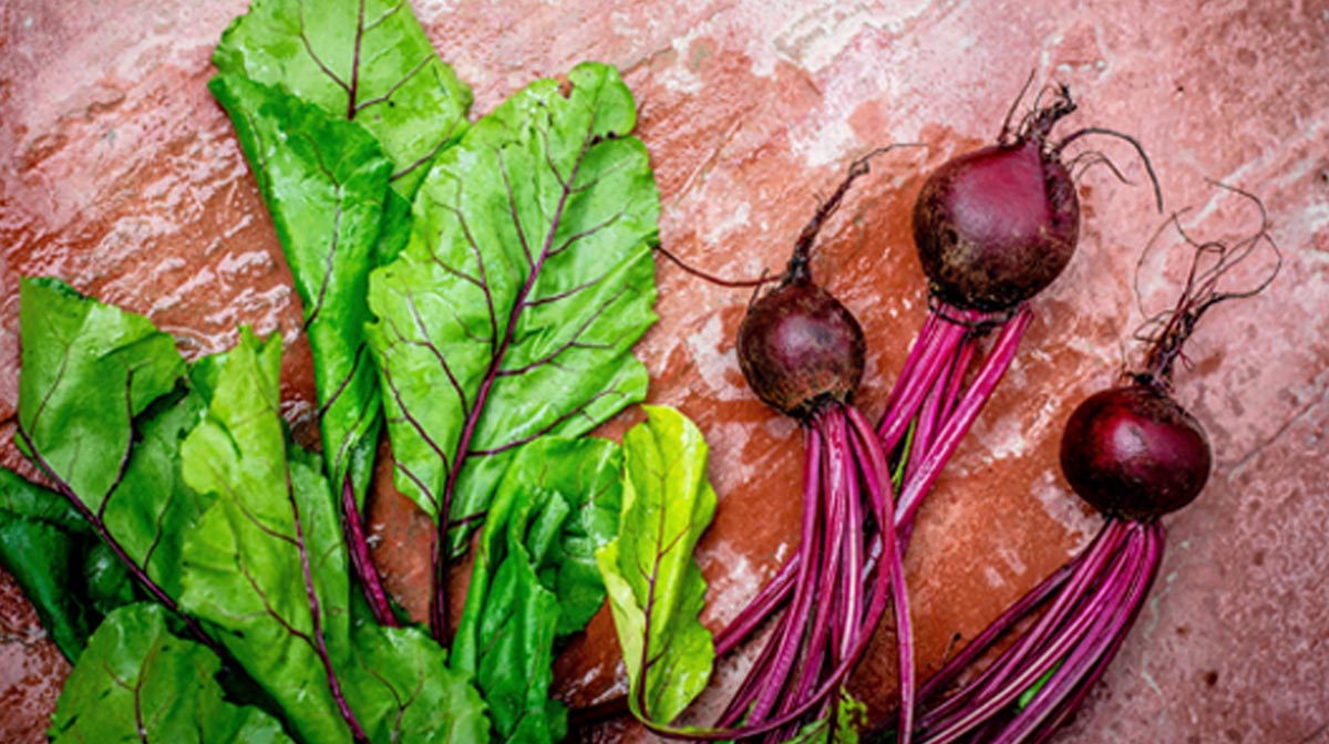 Rote-Beete-Salat Rezept